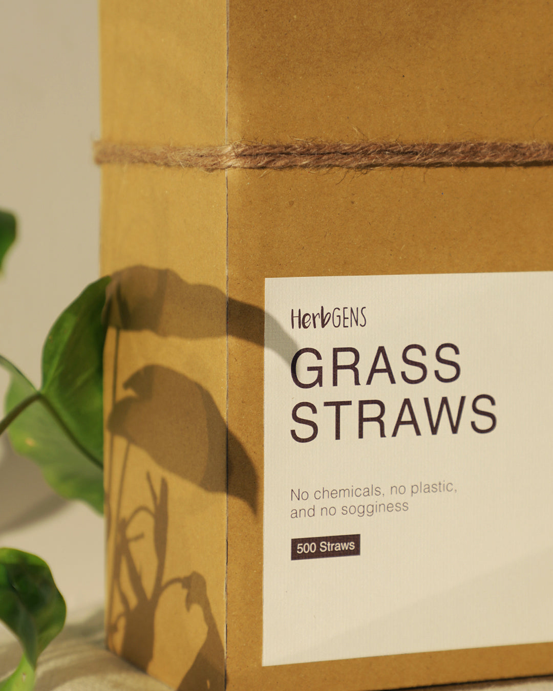 Pack of 500 Single Wrapped Straws