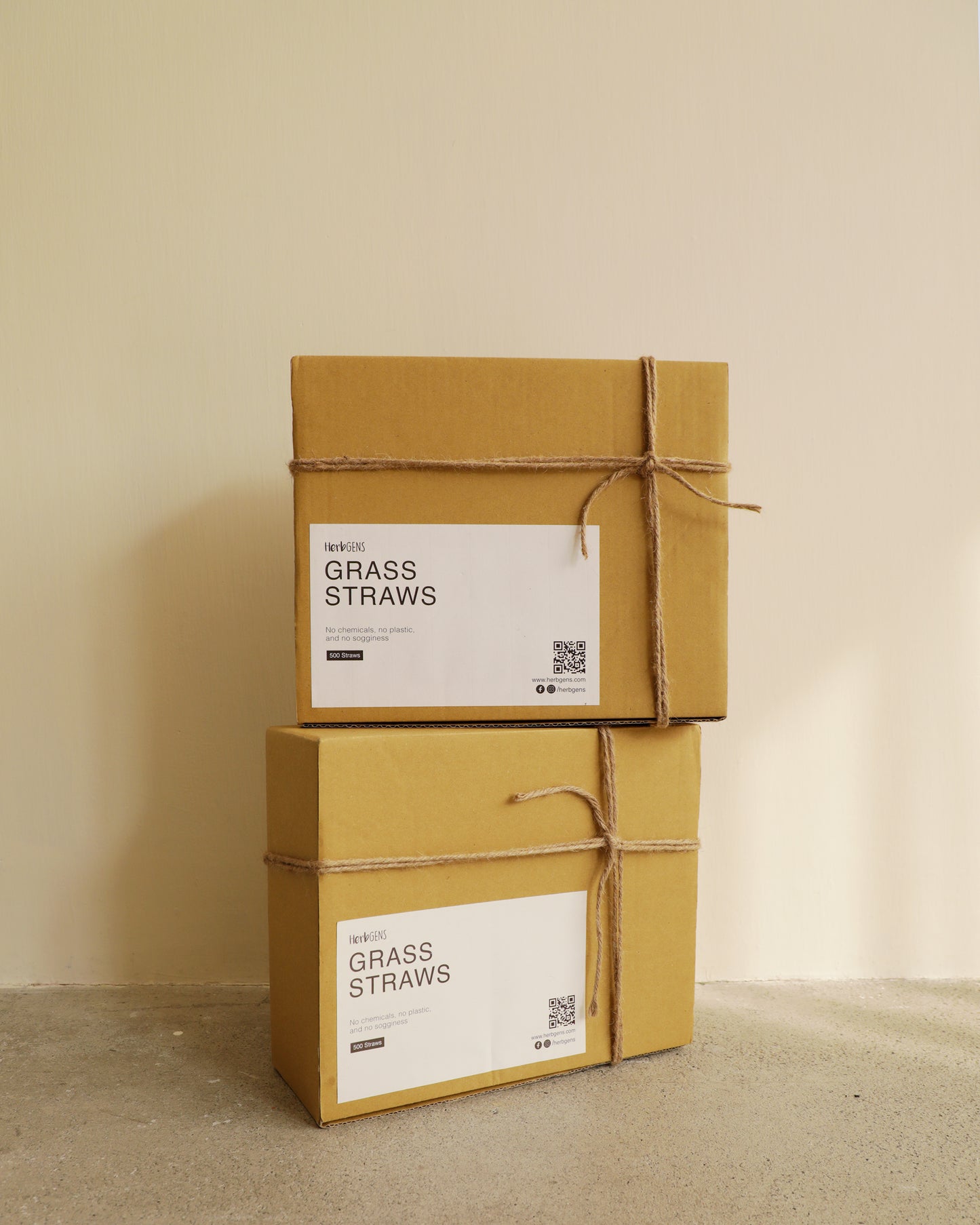 兩盒一組1,000支獨立包裝的草吸管         